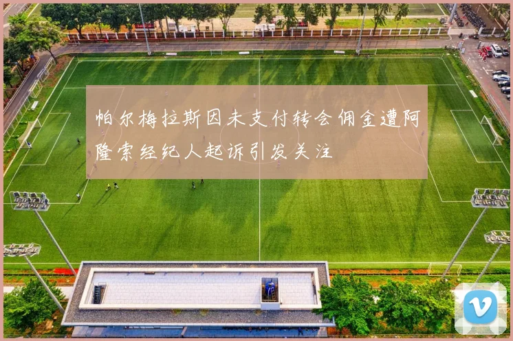 帕尔梅拉斯因未支付转会佣金遭阿隆索经纪人起诉引发关注